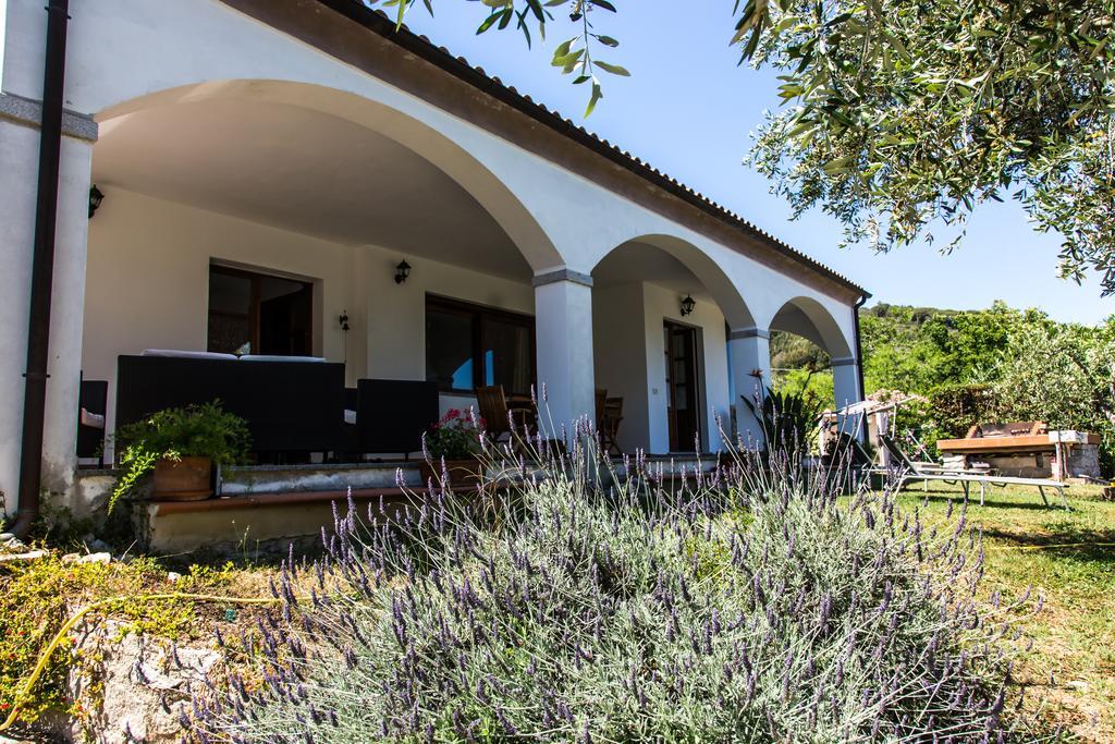 Villa Il Poderino 坎普码港 外观 照片